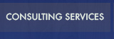 Consulting Services